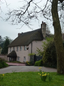 A thactched cottage in the village of Kenn.  