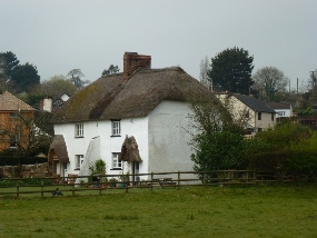 A white, thatched cottage in Kenn.